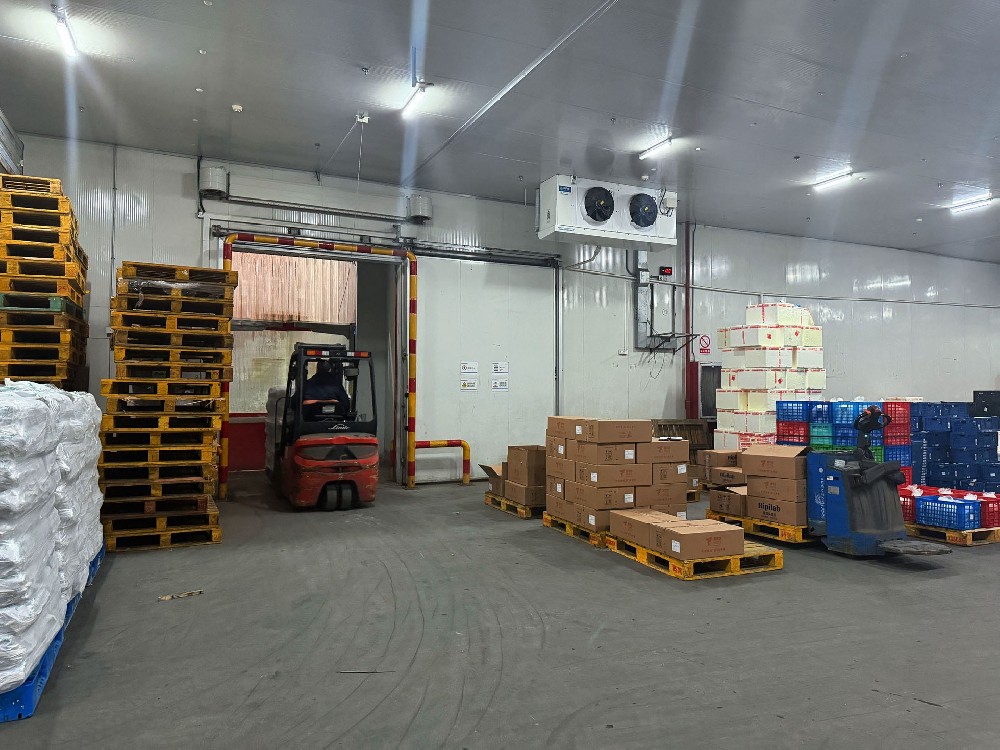 上海物流公司哪家好？关于璧诚物流，你最关心的8个问题都在这里